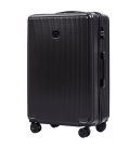 Чемодан Wings PC565 African Eagle Maxi серый фото, картинка, изображение