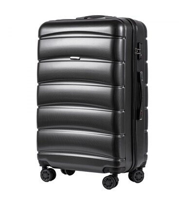 Валіза Wings PC160 Iberian Eagle велика L сіра картинка, зображення, фото