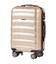 Чемодан Wings PC160 Iberian Eagle маленький S шампань фото, картинка, изображение