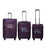 Набір валіз Airtex 830 Nereide фіолетова картинка, зображення, фото