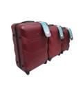 Набір валіз Carbon 147 бордовий картинка, зображення, фото
