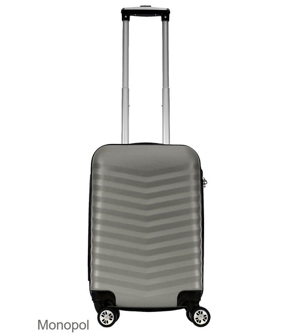 Валіза Monopol Bora Mini срібна картинка, зображення, фото