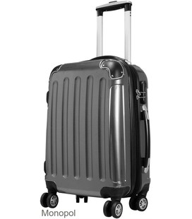 Валіза Monopol Sumatra маленька S срібна - картинка, зображення, фото валізи