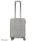 Чемодан Monopol Lyon маленький S silver фото, картинка, изображение