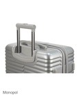 Валіза Monopol Lyon маленька S silver - картинка, зображення, фото валізи