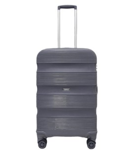 Чемодан Carbon 109 Midi серый фото, картинка, изображение