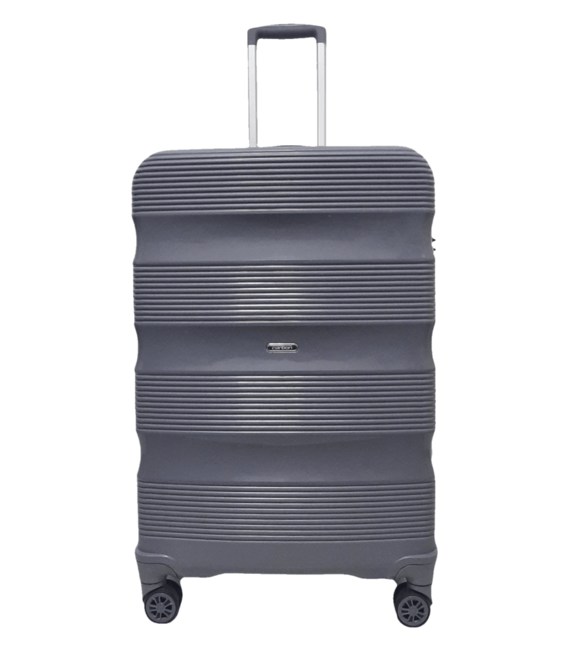 Валіза Carbon 109 велика L сіра картинка, зображення, фото