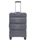Валіза Carbon 109 велика L сіра картинка, зображення, фото