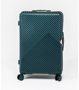 Чемодан Wings Dove WN01 средний M зеленый