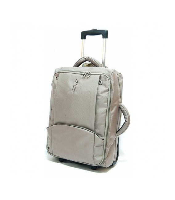 Валіза Airtex 2931 Mimas велика L шампань картинка, зображення, фото