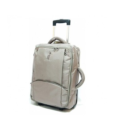 Валіза Airtex 2931 Mimas велика L шампань картинка, зображення, фото