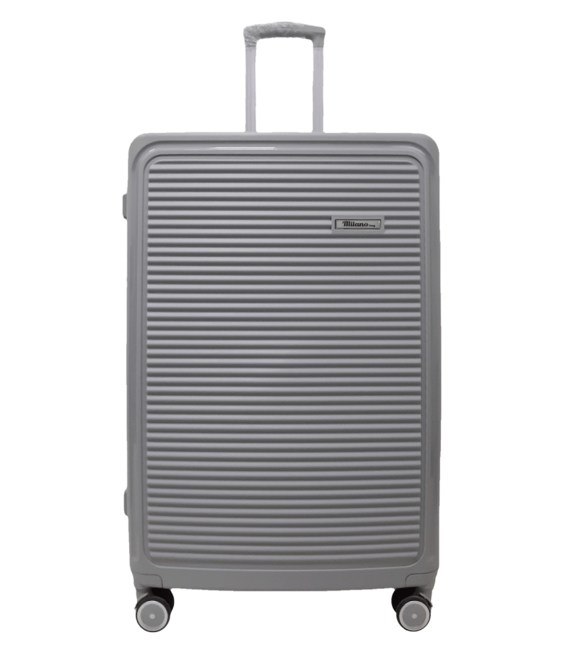 Валіза Milano 024 велика L срібна картинка, зображення, фото