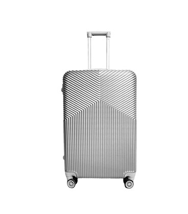 Валіза Sky 306 велика L срібло картинка, зображення, фото