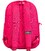 Рюкзак повсякденний NATIONAL GEOGRAPHIC Academy N13911.59 Рожевий картинка, зображення, фото