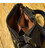 Шкіряна сумка через плече із клапаном коричнева TARWA RC-4126-4sa картинка, изображение, фото