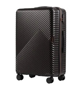 Валіза Wings Dove WN01 середня M графітова - картинка, зображення, фото