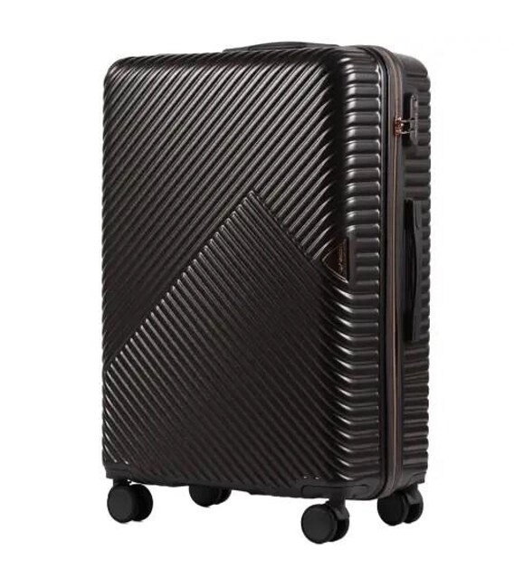 Чемодан Wings Dove WN01 Maxi графитовій фото, картинка, изображение