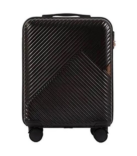 Чемодан Wings Dove WN01 маленький S графитовый фото, картинка, изображение