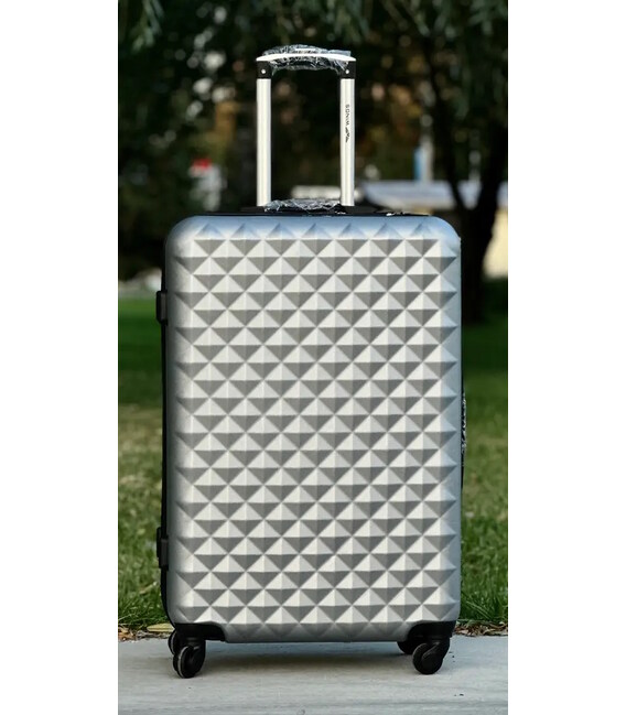 Валіза Wings BS 190 Midi срібна картинка, зображення, фото