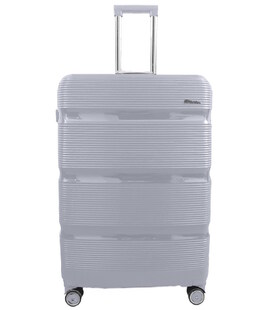 Валіза Milano 0307 велика L срібна картинка, зображення, фото