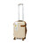 Чемодан IT Luggage VALIANT/Cream Mini IT16-1762-08-S-S176 картинка, изображение, фото