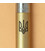 Ручка кулькова Parker JOTTER XL UKRAINE Matt Gold CT BP Тризуб 13432_T001b картинка, зображення, фото