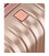 Валіза Titan BARBARA GLINT/Rose Metallic S Маленька Ti845406-15 картинка, зображення, фото