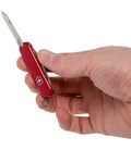 Складной нож Victorinox Escort 0.6123 картинка, изображение, фото