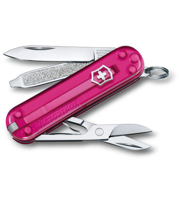 Складной нож Victorinox CLASSIC SD Colors 0.6223.T5G картинка, изображение, фото