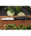 Кухонний ніж Victorinox Swiss Classic Paring 6.7403 картинка, зображення, фото