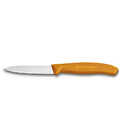 Кухонный нож Victorinox Swiss Classic Paring 6.7606.L119 картинка, изображение, фото