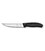 Кухонный нож Victorinox SwissClassic Steak 6.7903.14 картинка, изображение, фото