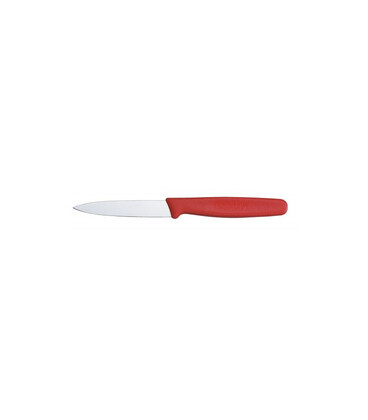 Кухонный нож Victorinox Standard Paring 5.0601 картинка, изображение, фото