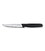 Кухонный нож Victorinox Standard 5.1203 картинка, изображение, фото