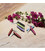 Складной садовый нож Victorinox Floral 3.9050.B1 картинка, изображение, фото