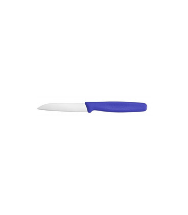 Кухонный нож Victorinox Standard Paring 5.0402 картинка, изображение, фото