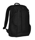 Рюкзак для ноутбука Victorinox Travel ALTMONT Original/Black Vt606739 картинка, изображение, фото