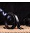 Классический женский ремень из натуральной кожи Grande Pelle 21443 Черный картинка, изображение, фото