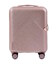 Валіза Wings Dove WN01 маленька S рожеве золото - картинка, зображення, фото валізи
