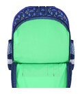 Рюкзак школьный Bagland Mouse 225 синий 614 (00513702)