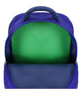 Рюкзак шкільний Bagland Відмінник 20 л. 225 синій 614 (0058070)