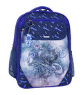 Рюкзак школьный Bagland Отличник 20 л. 225 синий 534 (0058070)