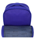 Рюкзак шкільний Bagland Відмінник 20 л. 225 синій 534 (0058070)