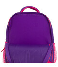 Рюкзак школьный Bagland Отличник 20 л. 170 фіолетовий 502 (0058066)