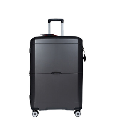 Чемодан Snowball 49103 большой L графит фото, картинка, изображение