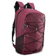 Рюкзак міський Semi Line 35 Cherry/Black (A3033-3) картинка, зображення, фото