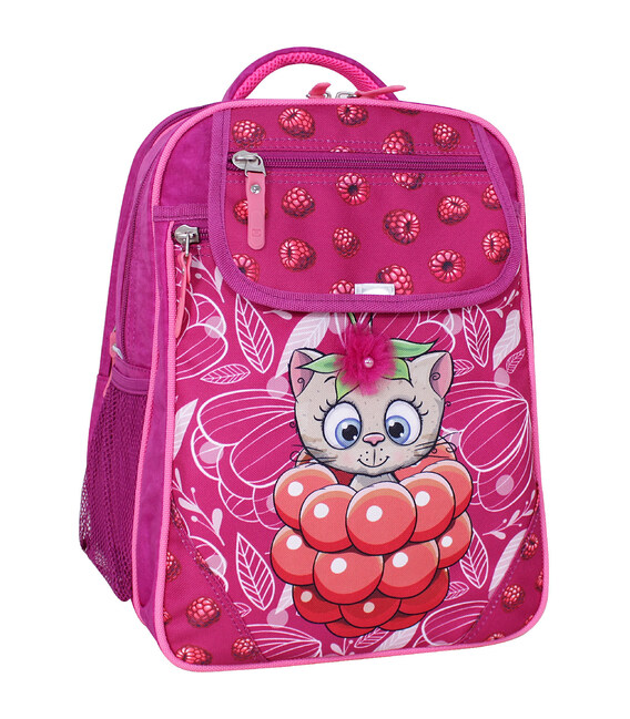 Рюкзак шкільний Bagland Відмінник 20 л. 143 малина 899 (0058070) фото, картинка, изображение