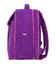 Рюкзак шкільний Bagland Відмінник 20 л. фіолетовий 890 (0058070) фото, картинка, изображение