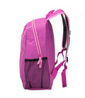 Рюкзак міський Semi Line 18 Pink (J4917-4) фото, картинка, изображение
