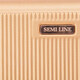Бьюти-кейс Semi Line 4.5L Gold (T5663-1) фото